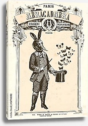 Постер Волшебный кролик