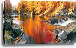Постер Река в осеннем лесу 5
