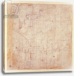 Постер Микеланджело (Michelangelo Buonarroti) Study of a Head, 1525-26