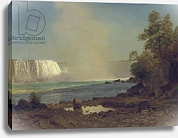 Постер Бирштад Альберт Niagara Falls, 1863