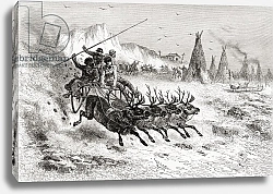 Постер Риоу Эдуард Samoyeds from Caborova on a Sleigh pulled by Reindeer, 1878