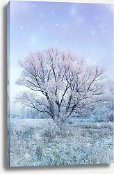 Постер Зима. Дерево