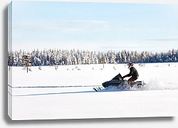 Постер Человек на спортивном снегоходе в финской Лапландии в солнечный день