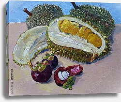 Постер Дуриан и мангустин - тропические фрукты Малайзии