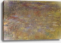 Постер Моне Клод (Claude Monet) The Water-Lily Pond, c.1917-20 2