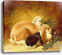 Постер Херринг Джон Rabbits, 1852