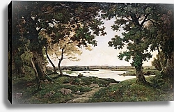Постер Харпигнес Генри Джозеф Wooded Landscape with a Sandy River, 1882
