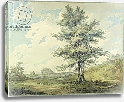 Постер Тернер Уильям (William Turner) Landscape with Trees and Figures, c.1796