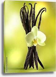 Постер Палочки ванили с цветком