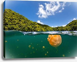 Постер Медузы у берегов Австралии