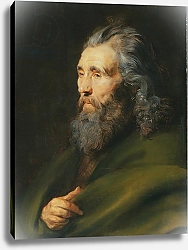 Постер Рубенс Петер (Pieter Paul Rubens) Head Study of a Bearded Man, c.1617