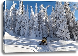 Постер Снегоход у заснеженного леса