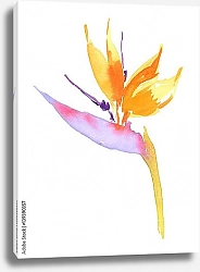 Постер Тропический цветок на белом фоне