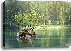Постер Дерево на островке посреди озера