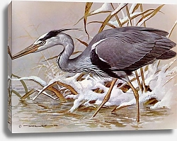 Постер British Birds - Grey Heron