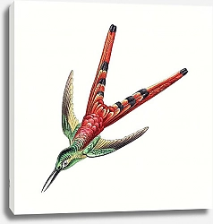 Постер Colorful vintage hummingbird