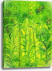 Постер Шава Лайла (совр) Rain Forest, Malaysia, 1990 2
