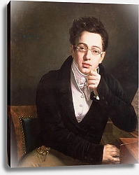 Постер Школа: Австрийская 19в. Portrait of Franz Schubert, Austrian composer, aged 17, c.1814