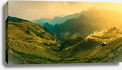 Постер Рисовые поля на закате в Му Кан Чай, Вьетнам 2