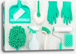 Постер Зелёные инструменты для уборки