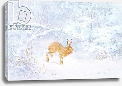 Постер Бенингфилд Гордон (1936-98) Winter: Hare in woodland, from source unknown