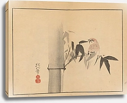 Постер Хоицу Сакаи Sakai Hōitsu gajō, Pl.04