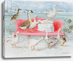 Постер Уоттс Э. (совр) Geese on Pink Sofa, 2000