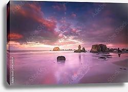 Постер Каменистый пляж в розовых лучах заката