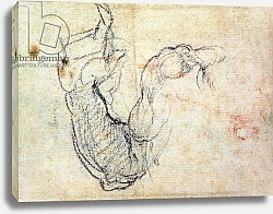 Постер Микеланджело (Michelangelo Buonarroti) Preparatory Study for the Arm of Christ in the Last Judgement, 1535-41