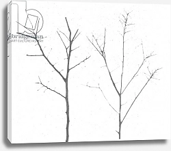 Постер Черокки Джулио (совр) territori innevati - due alberi giorno -2012, photographic contamination