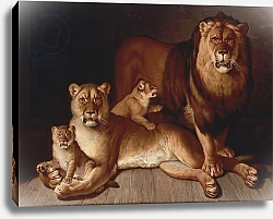 Постер Хью Жан-Батист Pride of Lions