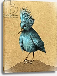 Постер Школа: Английская 20в. Unidentified flightless bird