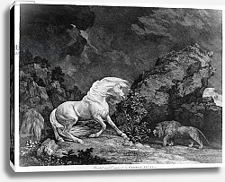Постер Стаббс Джордж A Horse Affrighted by a Lion, engraved by the artist, 1777