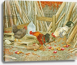 Постер Дитц (совр) Chicken Feed