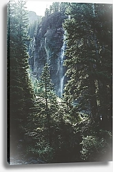 Постер Высокий водопад в еловом лесу