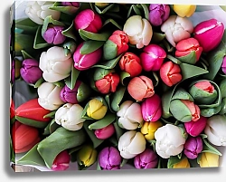Постер Букет разноцветных тюльпанов