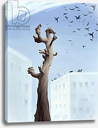 Постер Бан Магдолна (совр) Consternation, 2004