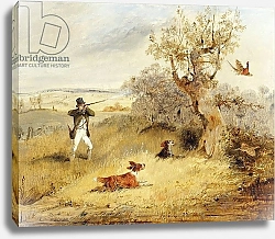 Постер Олкен Генри (охота) Pheasant Shooting 2