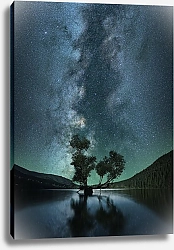 Постер Дерево посреди озера под звездным небом
