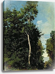 Постер Коро Жан (Jean-Baptiste Corot) The Wood on the Cote de Grace in Honfleur