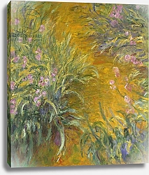 Постер Моне Клод (Claude Monet) The Path through the Irises, 1914–17