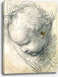 Постер Рафаэль (Raphael Santi) Head of a Cherub
