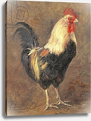 Постер Миятт Антония The Cockerel, 1999