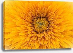 Постер Желтый солнечный цветок
