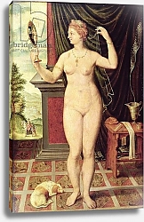 Постер Школа: Фонтенбло 16в. Venus with a Mirror