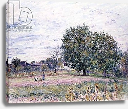 Постер Сислей Альфред (Alfred Sisley) Walnut Trees, Effect of the Setting Sun - First Day of October, 1882