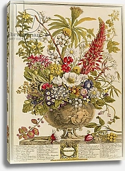 Постер Кастилс Питер December, from 'Twelve Months of Flowers' by Robert Furber engraved by Henry Fletcher