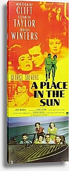 Постер Poster - A Place In The Sun