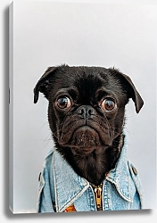 Постер Забавный пес в курточке