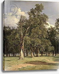 Постер Вальдмюллер Фердинанд Elm trees in Prater, 1831